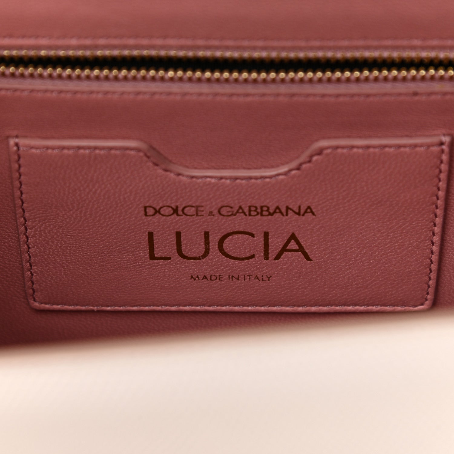 Dolce & Gabbana Iguana Calfskin Embossed Lucia Satchel Pink 6 of 10