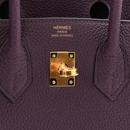 Hermes Togo Birkin 25 Cassis 6 of 11