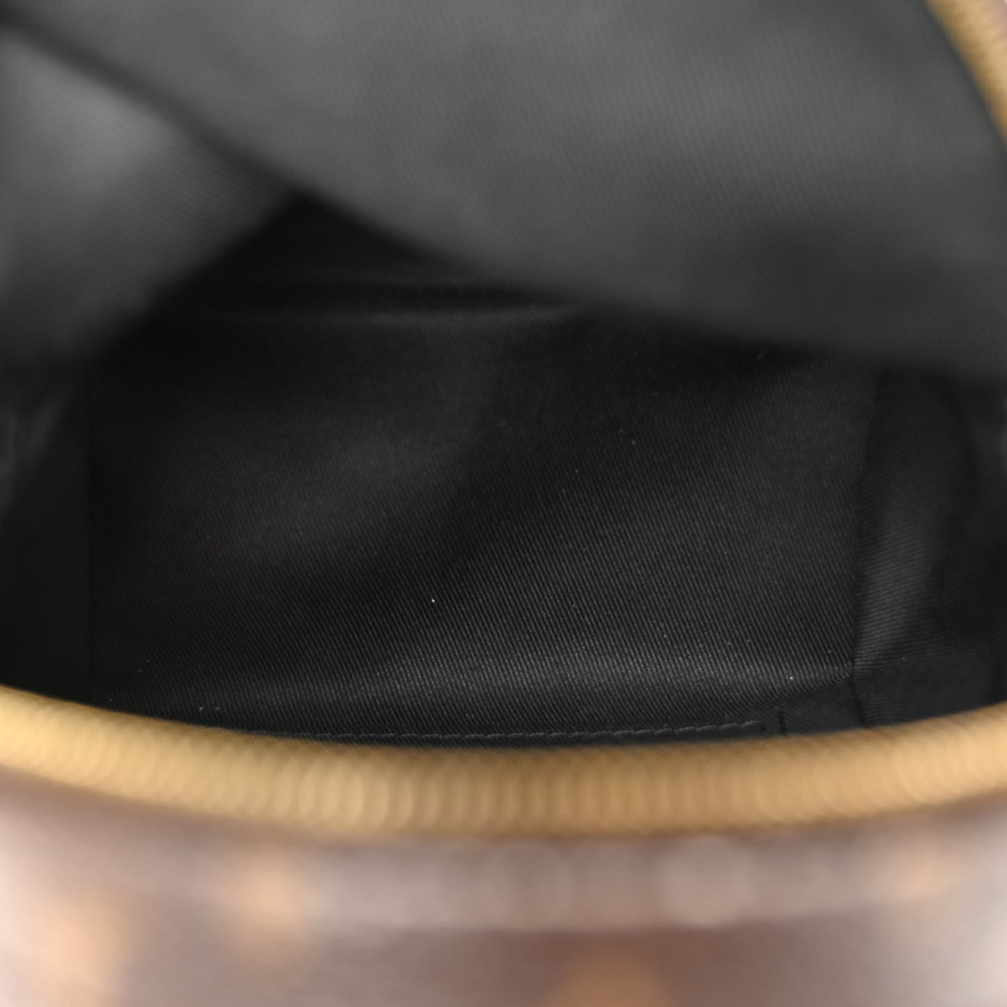 Monogram Palm Springs Backpack Mini