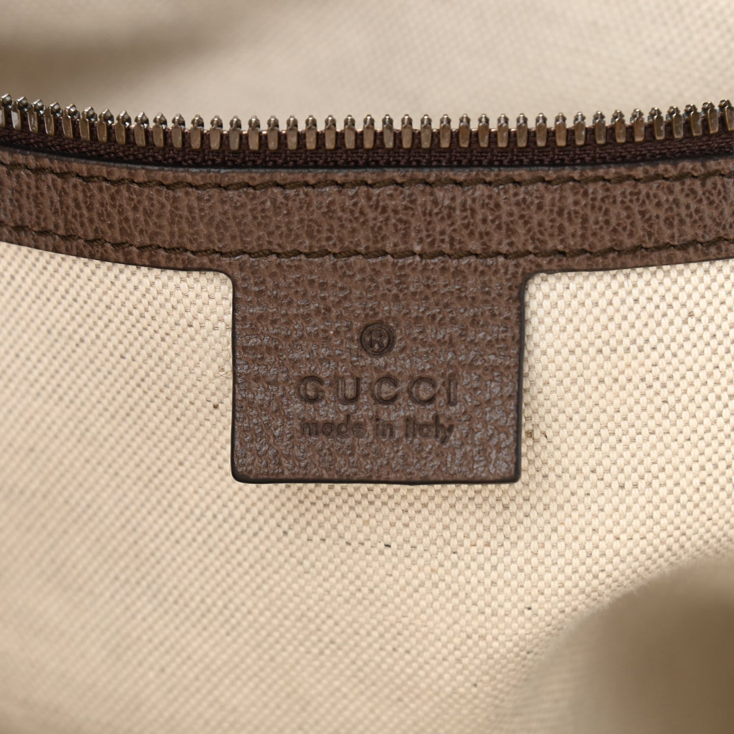 GG Supreme Monogram Medium Ophidia Day Backpack Brown