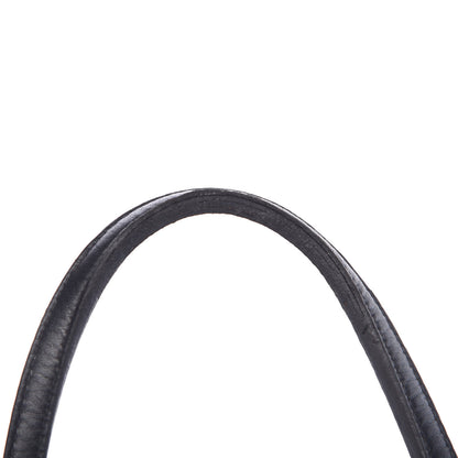 Goyard Goyardine Saint Louis PM Black 9 of 21