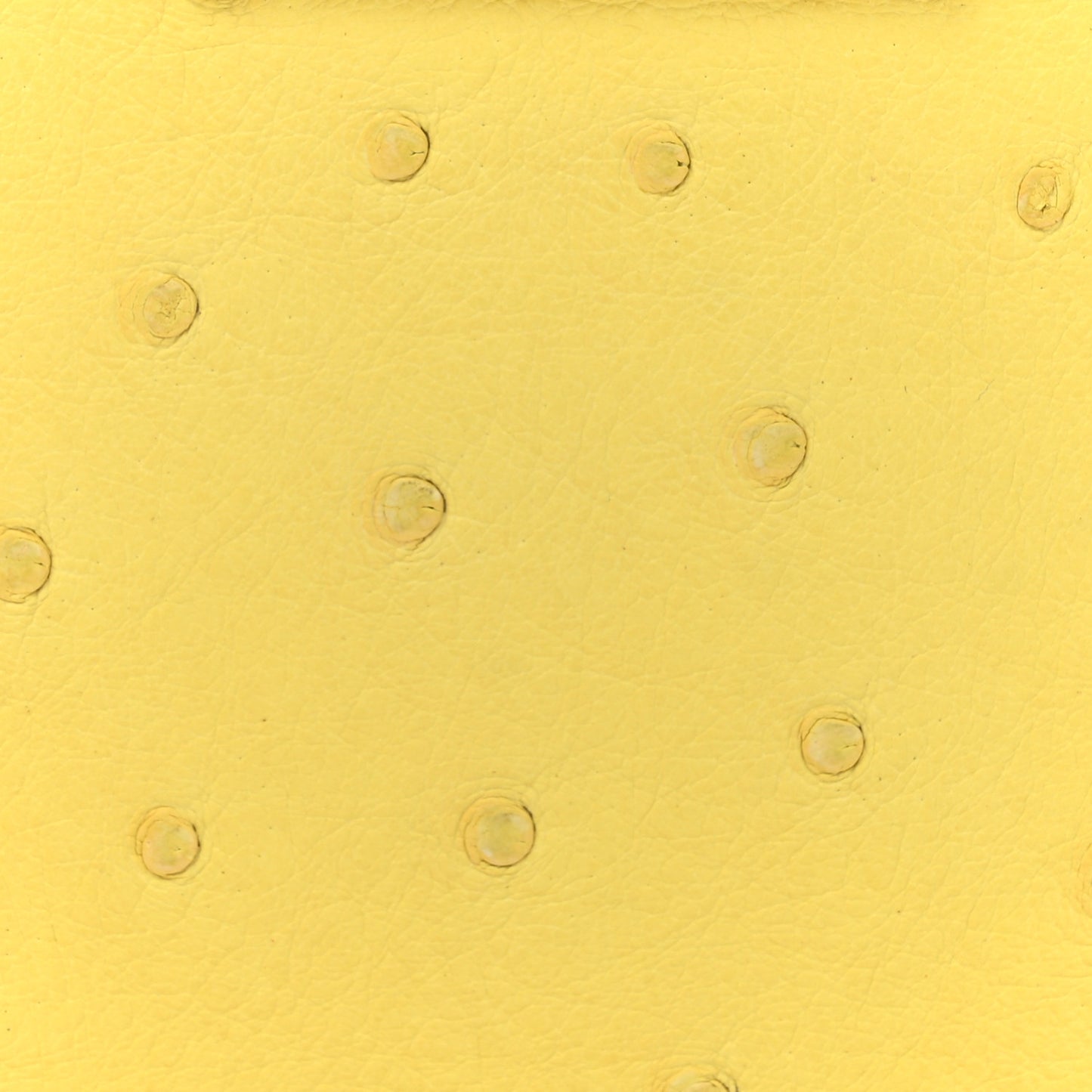 Ostrich Capucines Mini Yellow