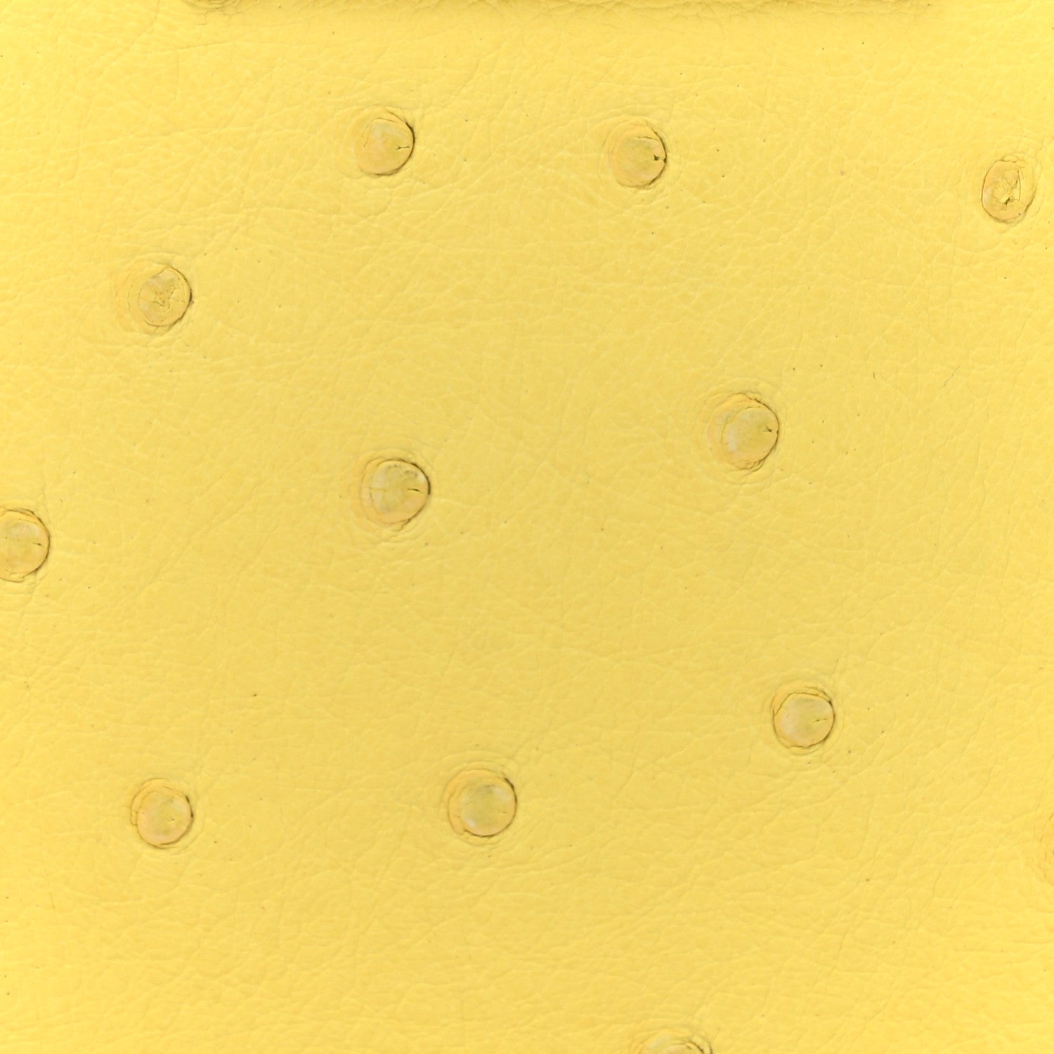 Louis Vuitton Ostrich Capucines Mini Yellow 7 of 11