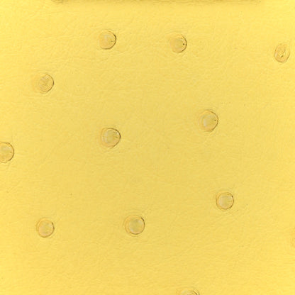 Louis Vuitton Ostrich Capucines Mini Yellow 7 of 11