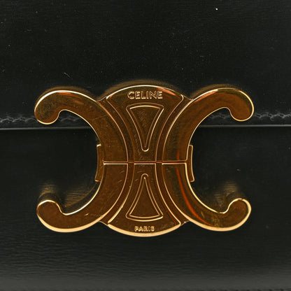 Celine Shiny Calfskin Teen Triomphe Black 14 of 15