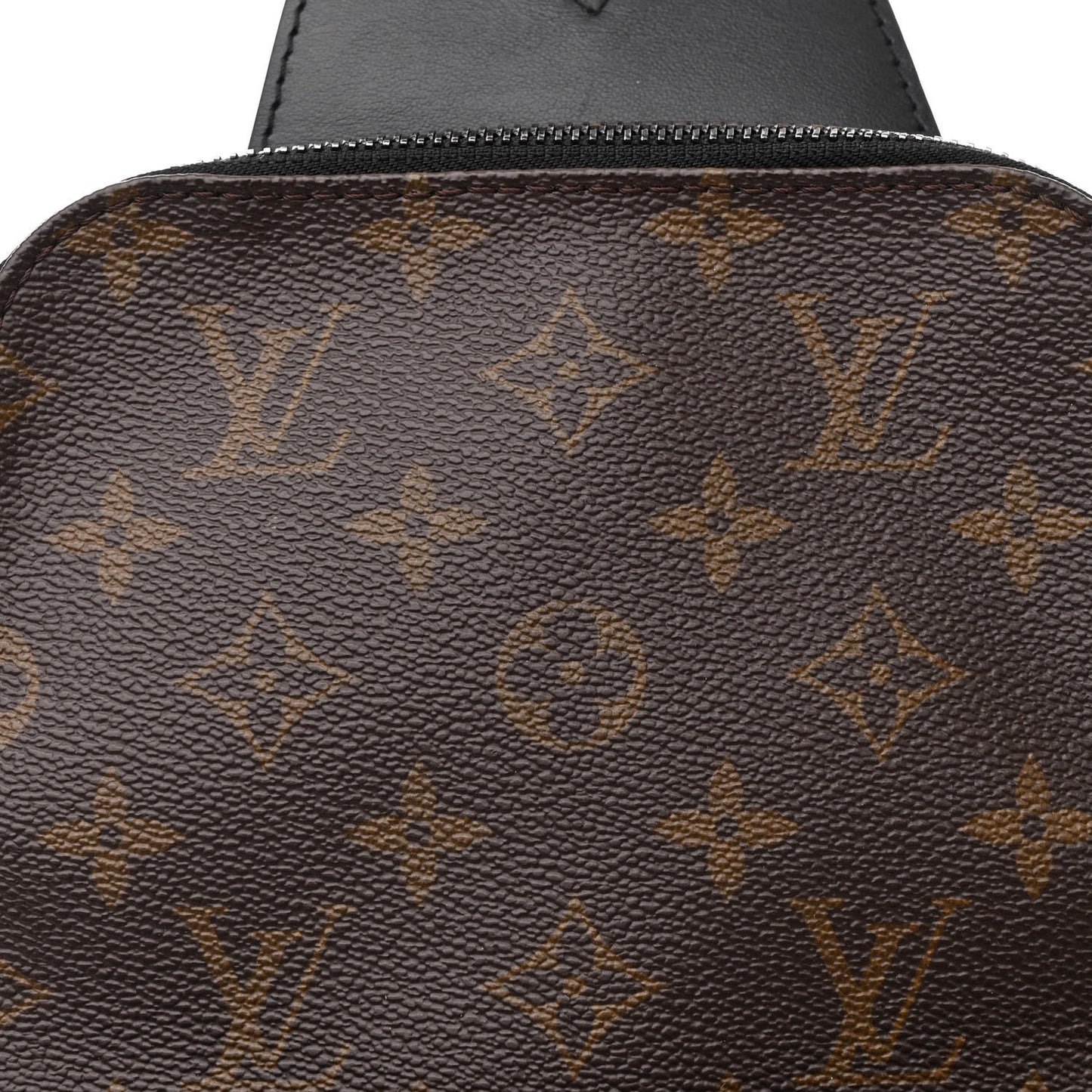 Monogram Macassar Avenue Sling Bag
