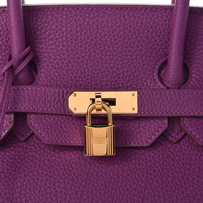 Hermes Togo Birkin 35 Anemone 33 of 38