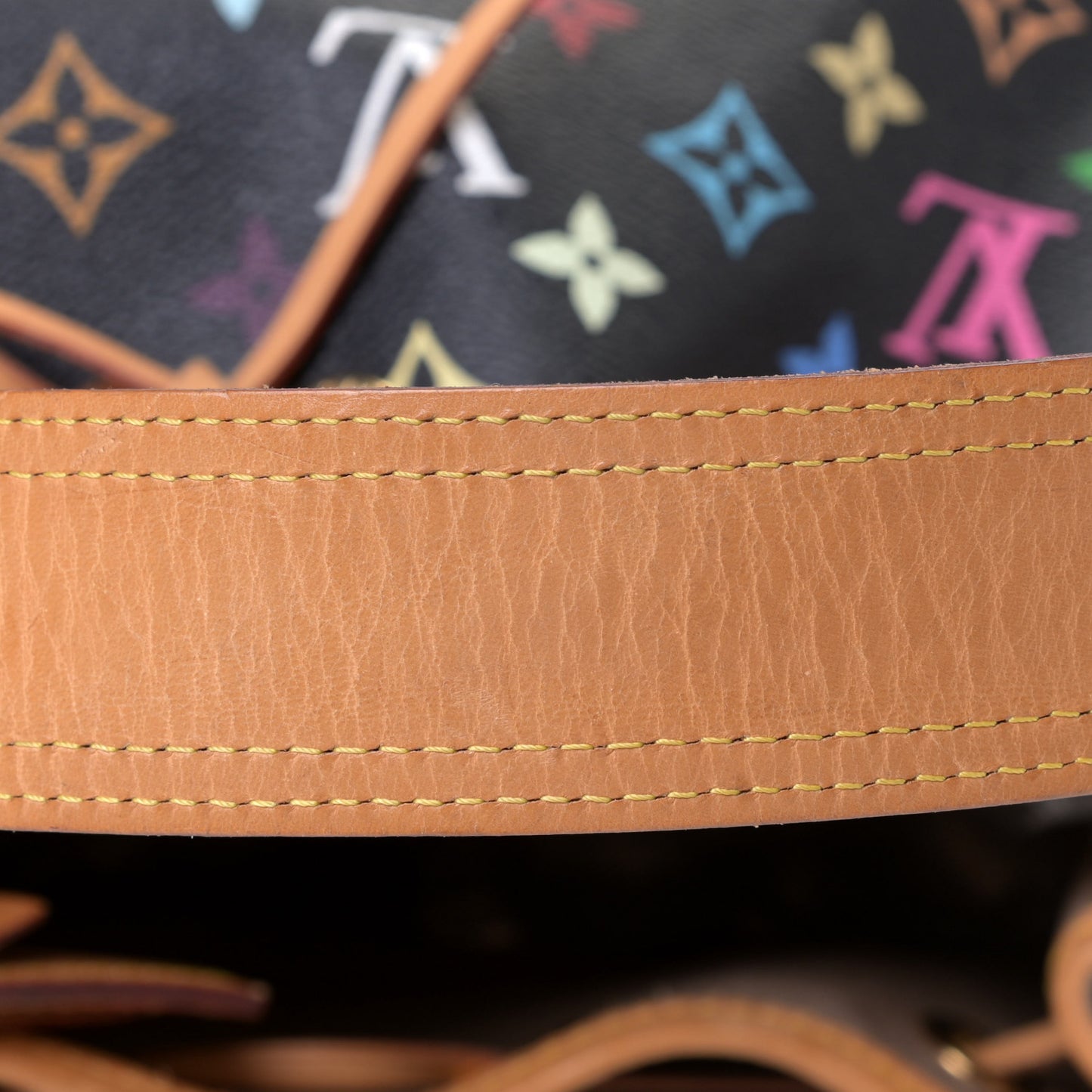 Monogram Multicolor Petit Noe Black
