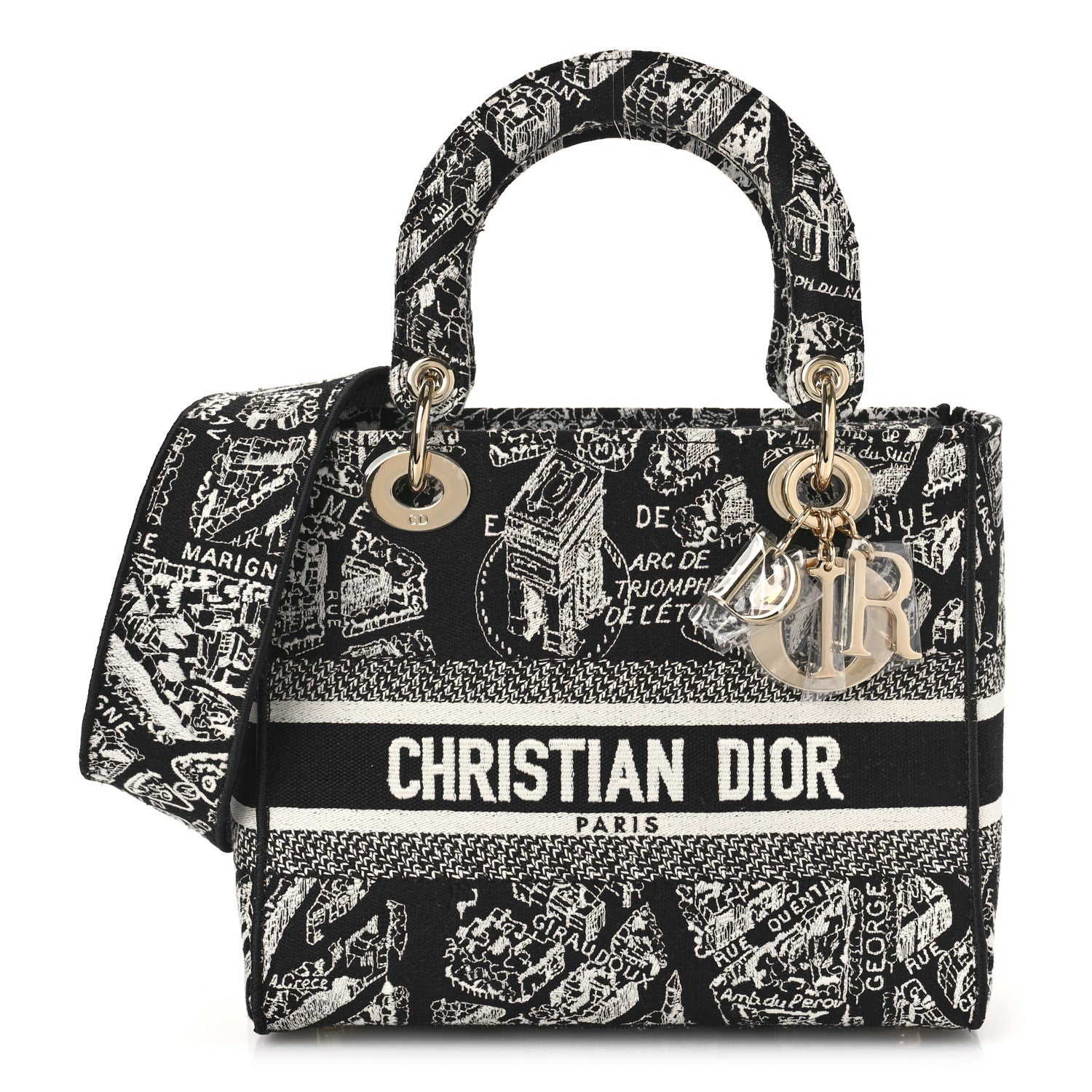 Christian Dior Canvas Embroidered Medium Plan de Paris Lady D-Lite Black White 1 of 8
