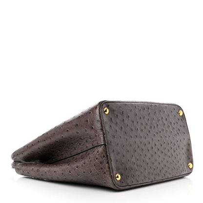 Prada Ostrich Double Bag Grey 4 of 16