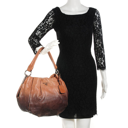 Prada Glace Calf Sfumata Pleated Hobo 2 of 8