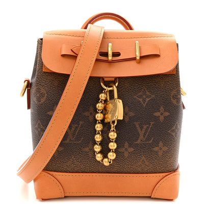 Louis Vuitton Monogram Dust Steamer 15 1 of 9