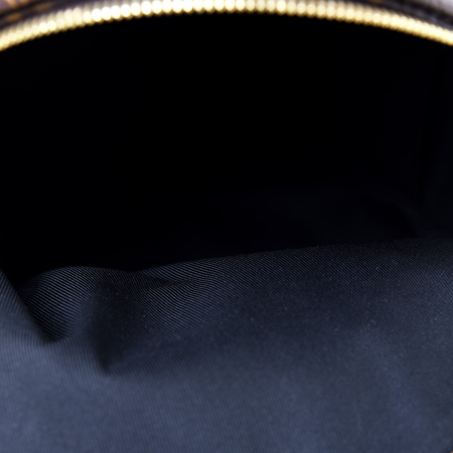 Louis Vuitton Reverse Monogram Palm Springs Backpack PM 4 of 12