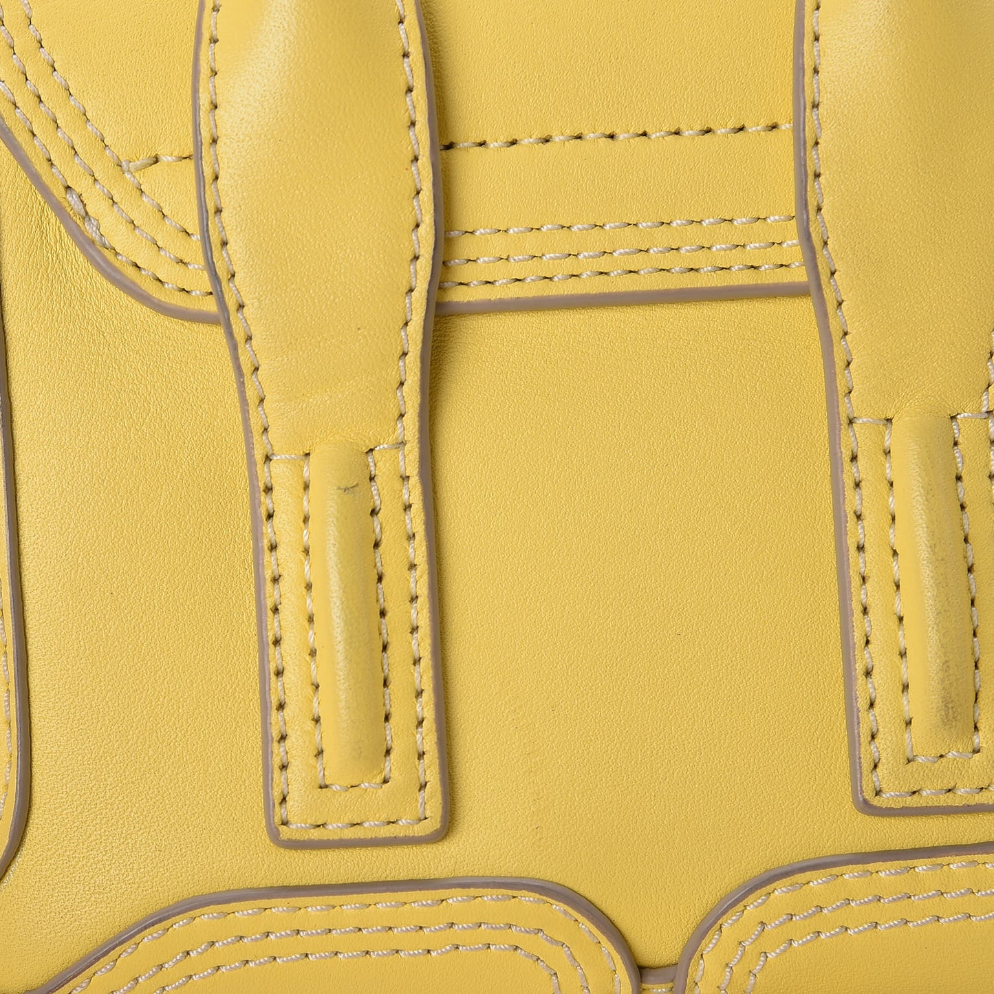 3.1 Smooth Calfskin Nano Pashli Satchel Pineapple