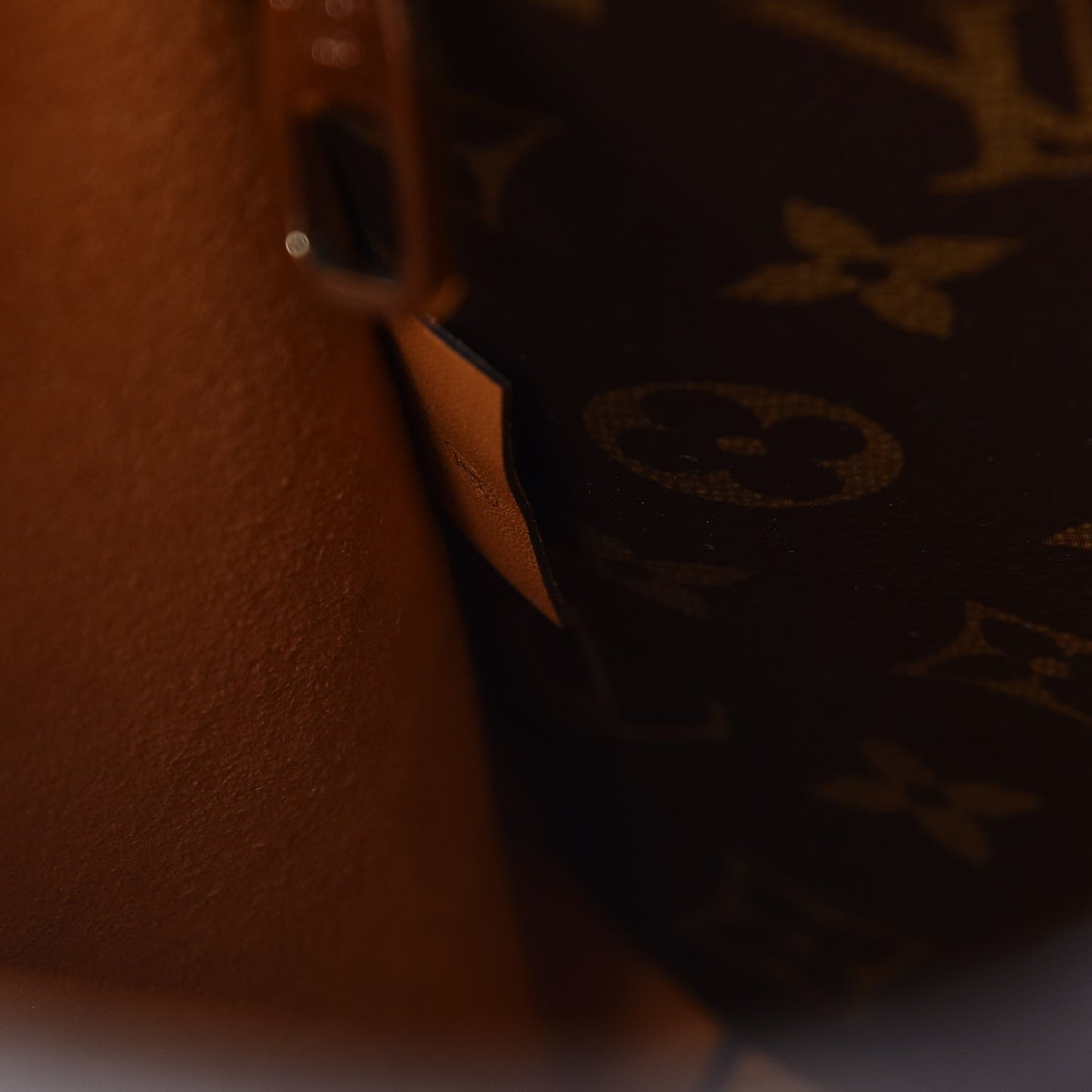 Monogram Neonoe MM Safran