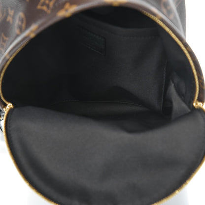 Louis Vuitton Monogram Palm Springs Backpack PM 5 of 7