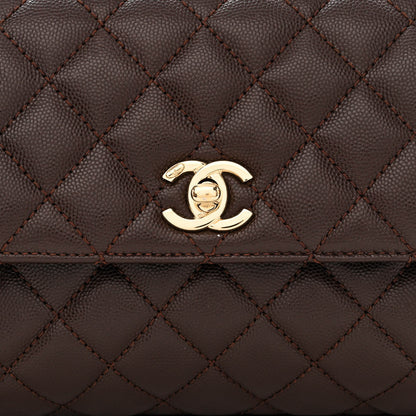 Chanel Caviar Quilted Mini Coco Handle Flap Dark Brown 8 of 10