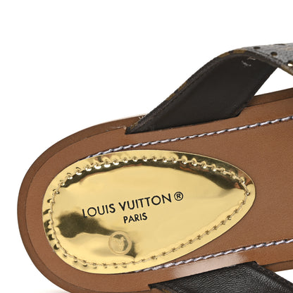 Louis Vuitton Monogram Sunny Flat Thong Sandals 38 Brown 8 of 9
