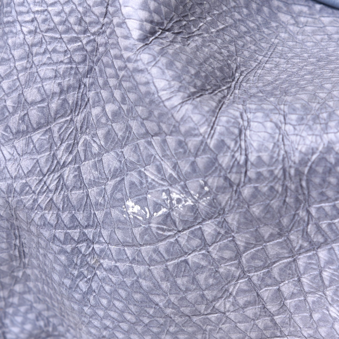 Calfskin Snake Print Stam Blue