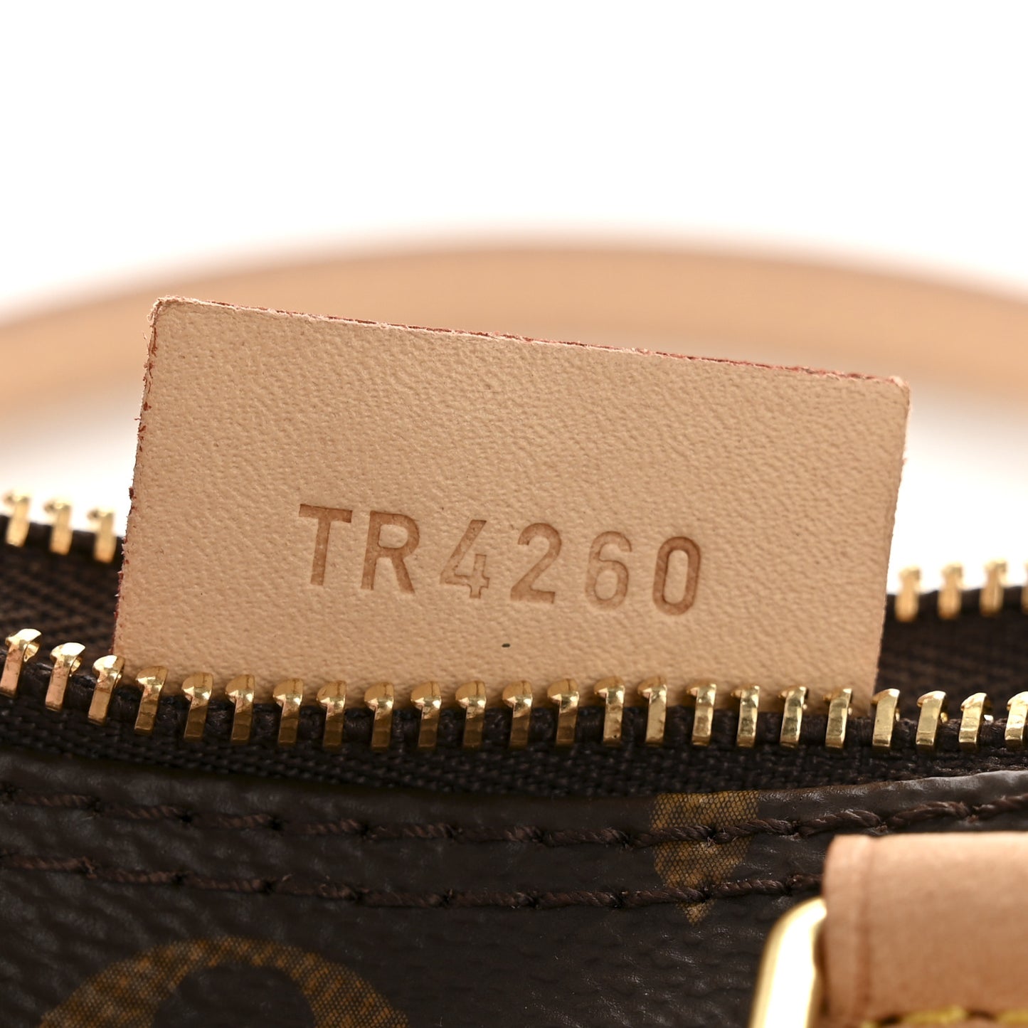 Monogram Nano Speedy