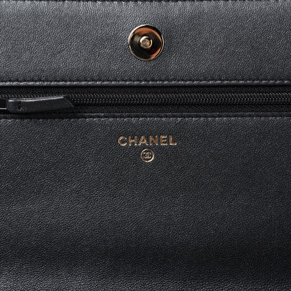Chanel Iridescent Lambskin Quilted Pearl Wallet On Chain WOC Black 6 of 10