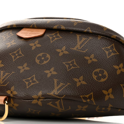 Louis Vuitton Monogram Bumbag 9 of 14