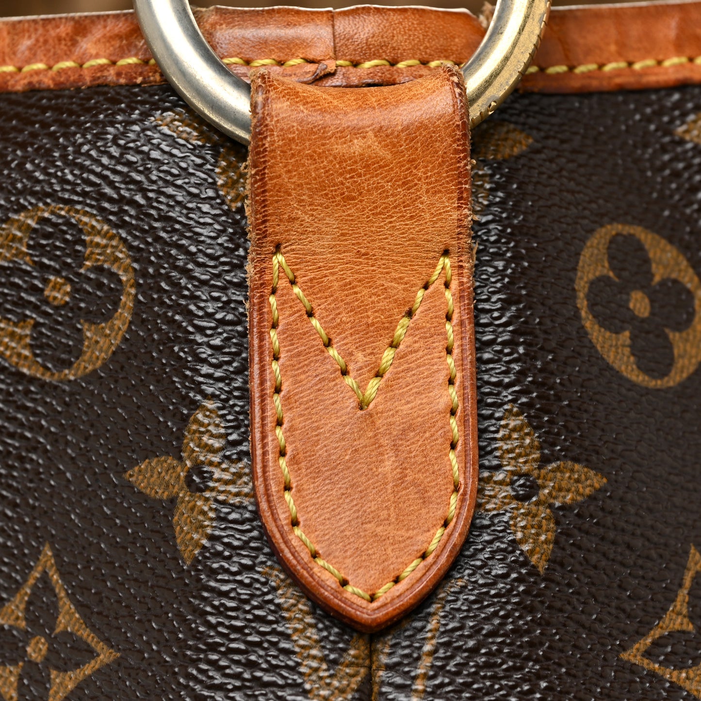 Monogram Delightful PM