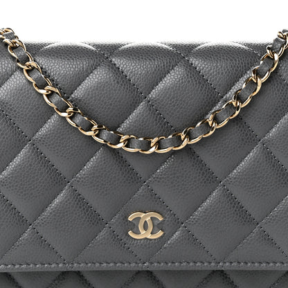 Chanel Caviar Quilted Wallet on Chain WOC Grey 8 of 11
