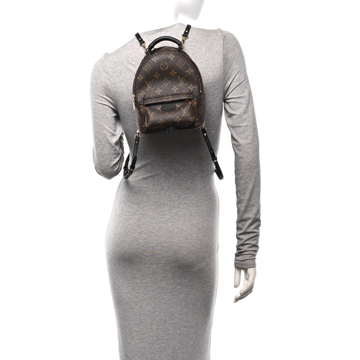 Monogram Palm Springs Backpack Mini