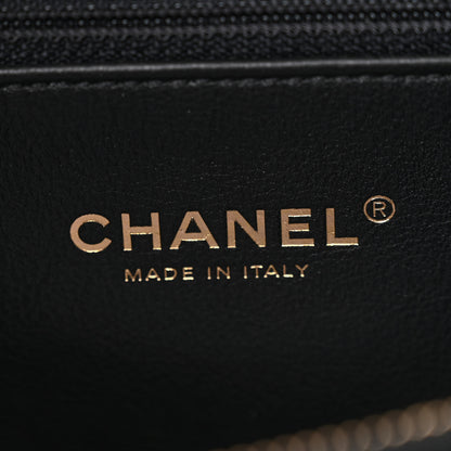 Chanel Caviar Lizard Quilted Medium Coco Handle Flap Black 5 of 10