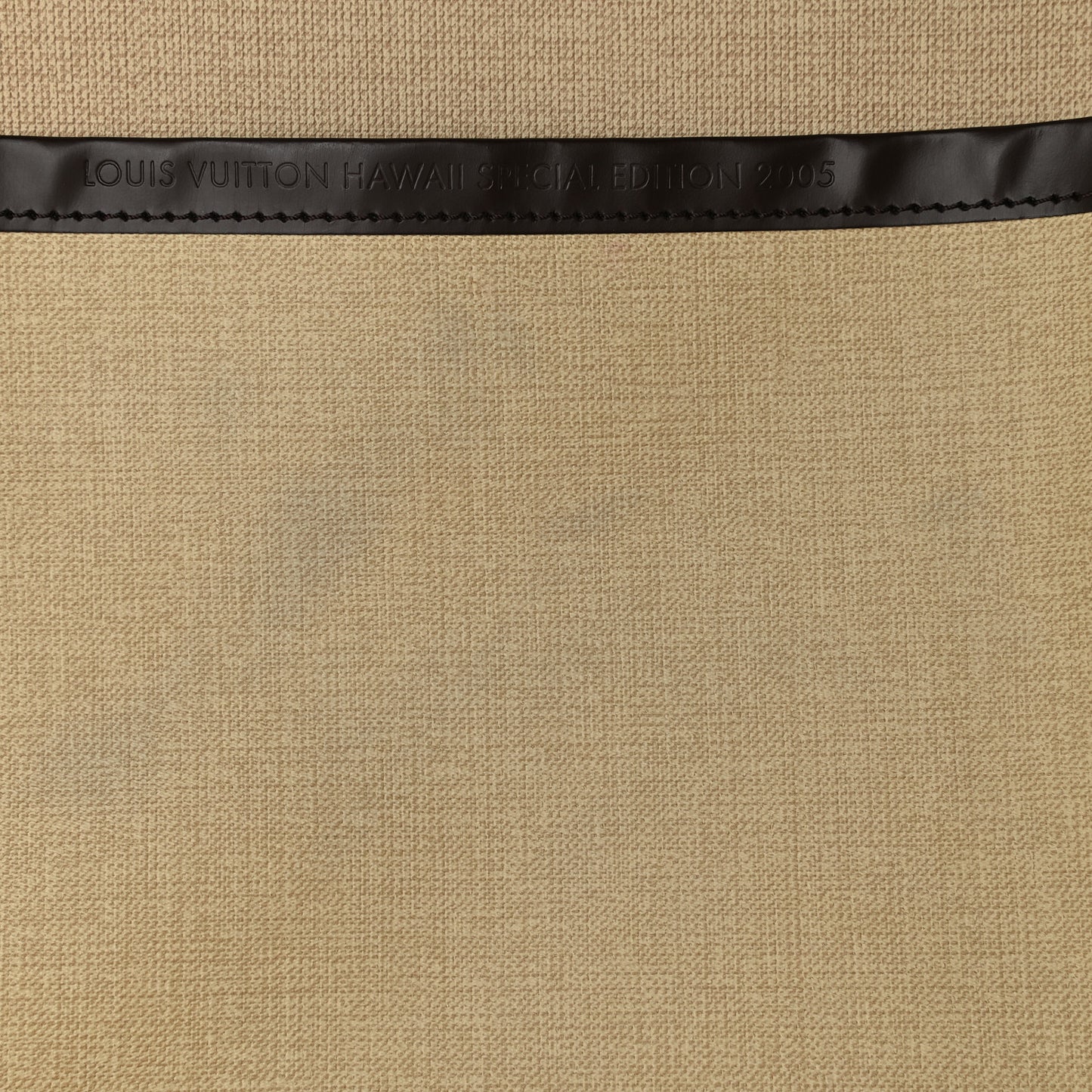 Damier Ebene Excursion Shoe Bag