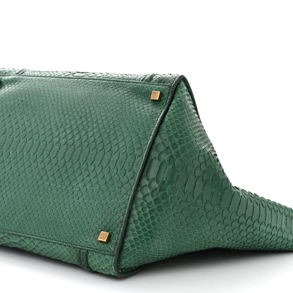 Celine Snakeskin Medium Phantom Luggage Green 10 of 11