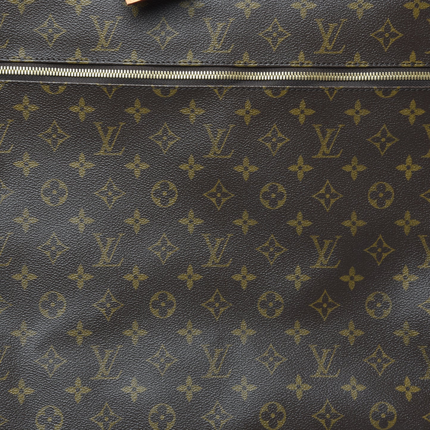 Monogram Garment Bag