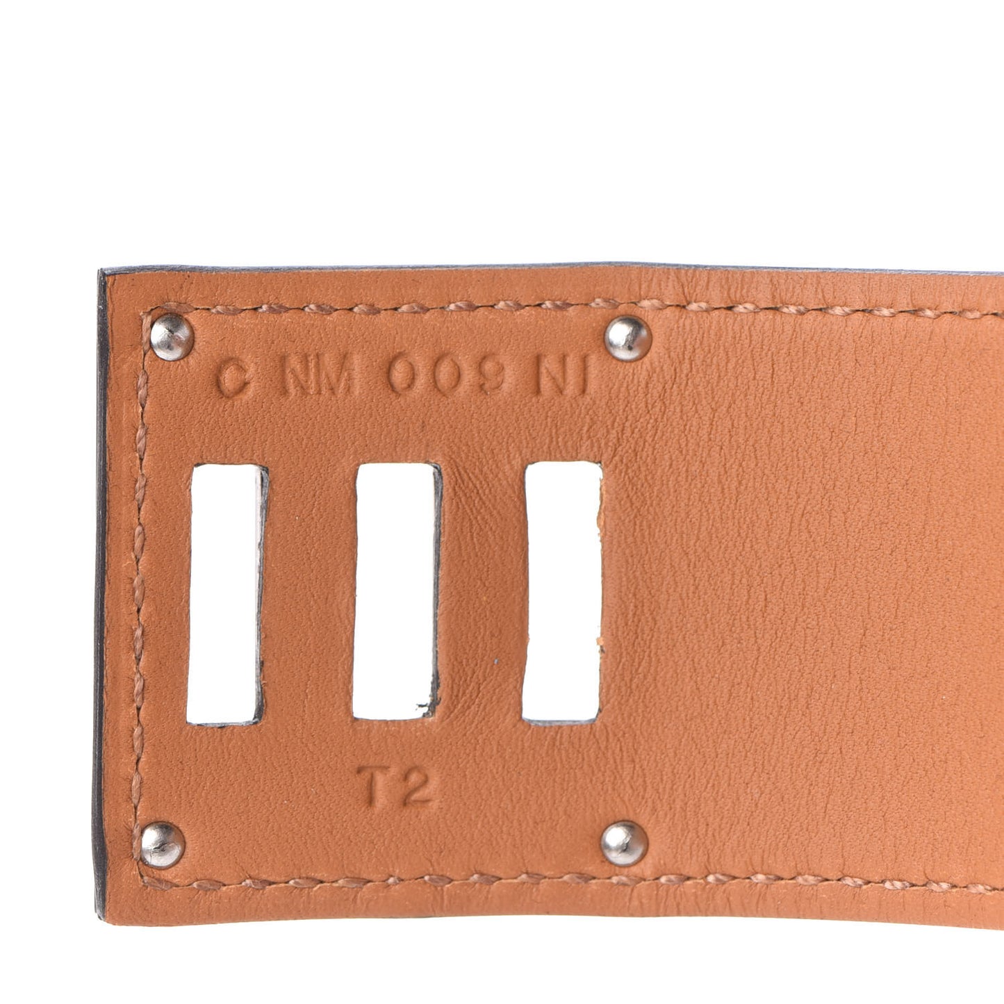 Lizard Kelly Dog Cuff T2 Ombre