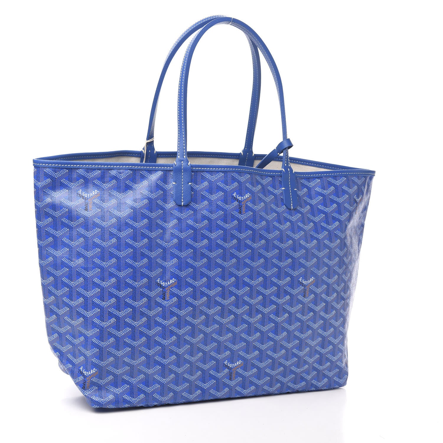 Goyard Goyardine Saint Louis PM Sky Blue 2 of 9