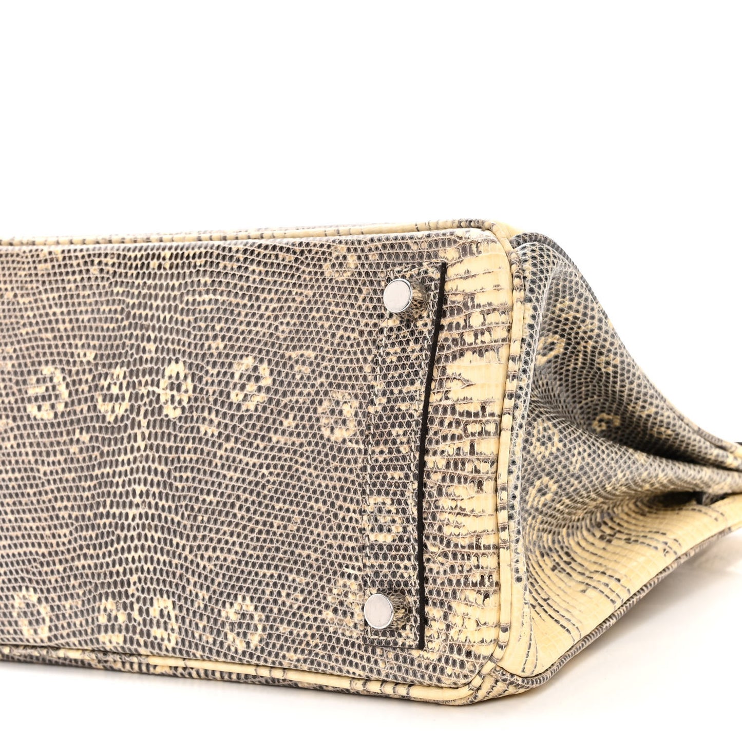 Lizard Birkin 25 Ombre