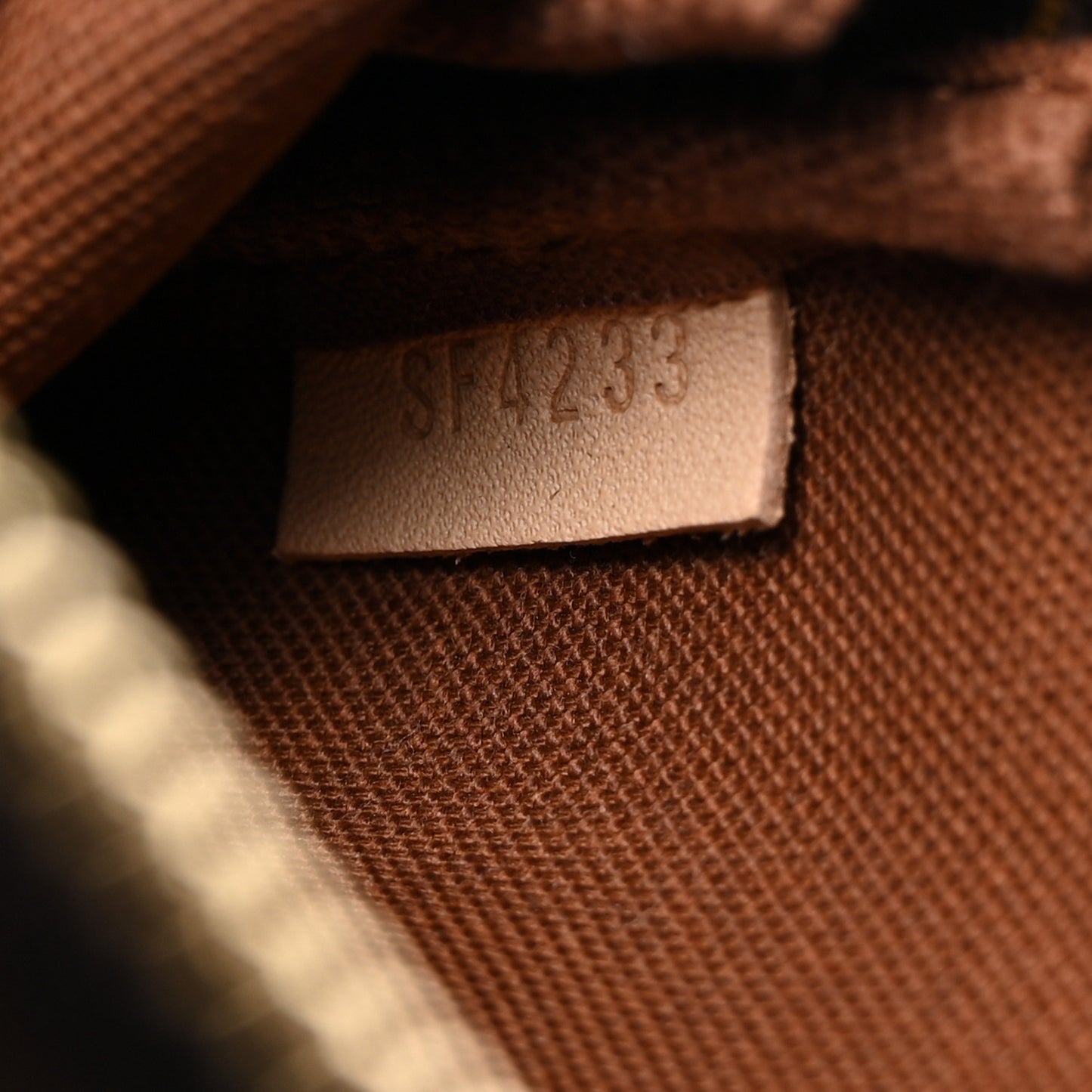 Monogram Mini Pochette Accessories