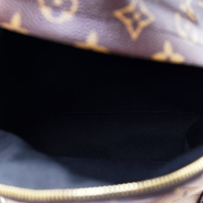 Louis Vuitton Reverse Monogram Palm Springs Backpack PM 4 of 11