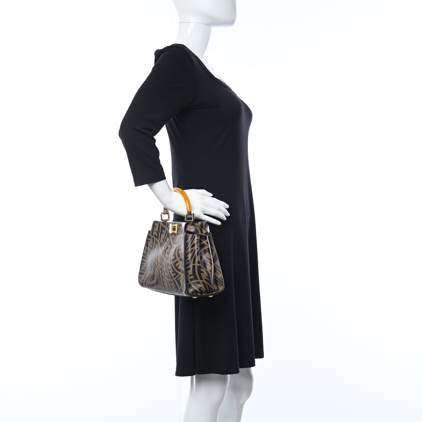 X SARAH COLEMAN Vitello Liberty Shiny Nappa Plexiglass FF Vertigo Mini Peekaboo Iconic Satchel