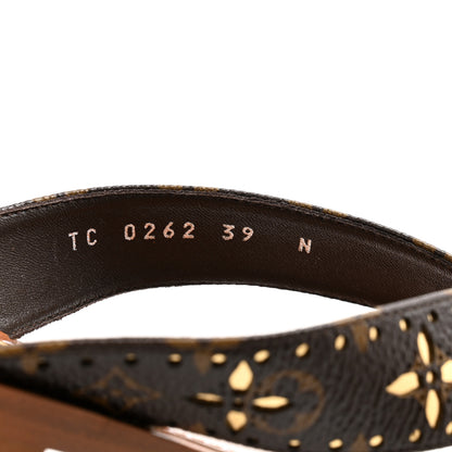 Louis Vuitton Monogram Sunny Flat Thong Sandals 39 Brown 5 of 9