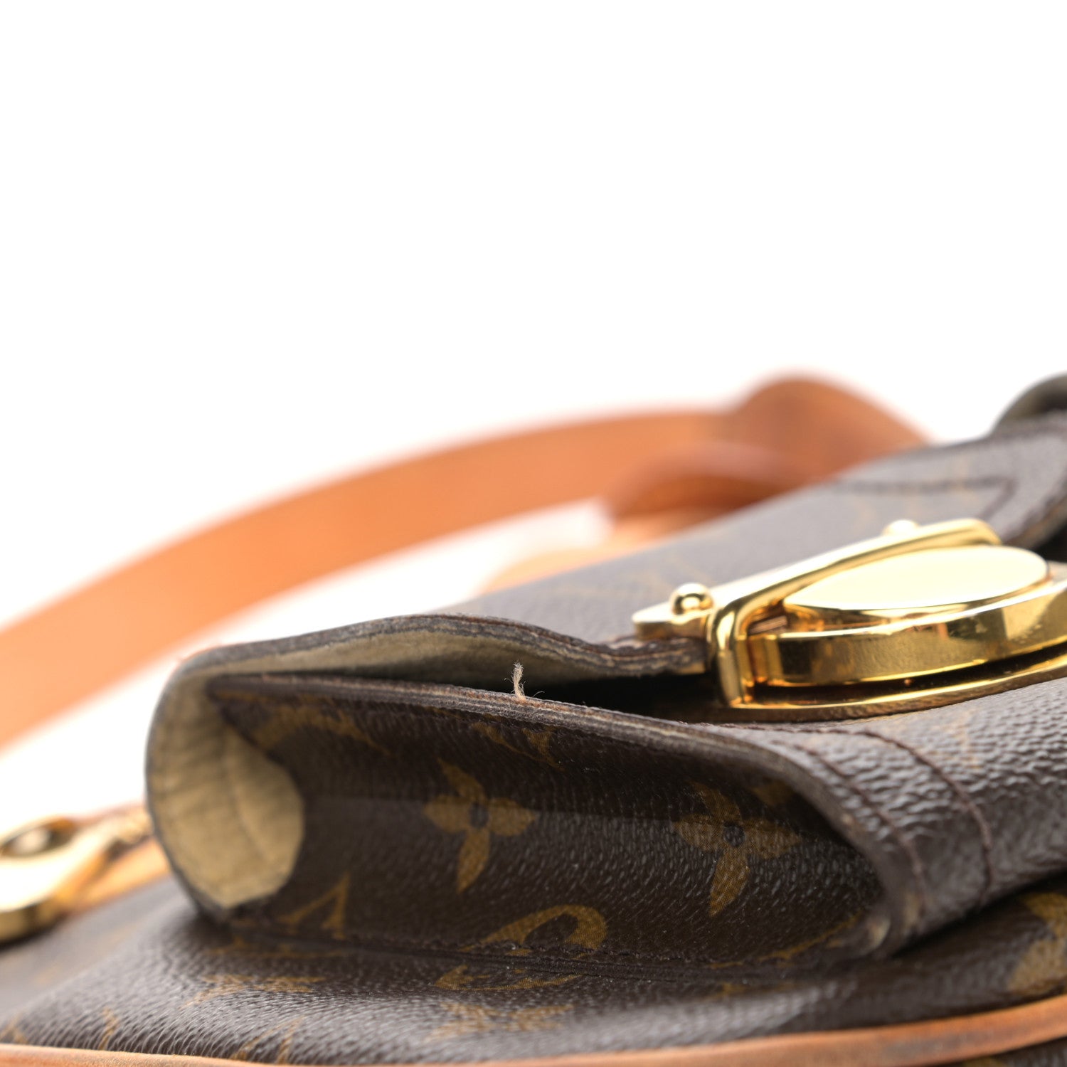 Louis Vuitton Monogram Hudson GM 17 of 18