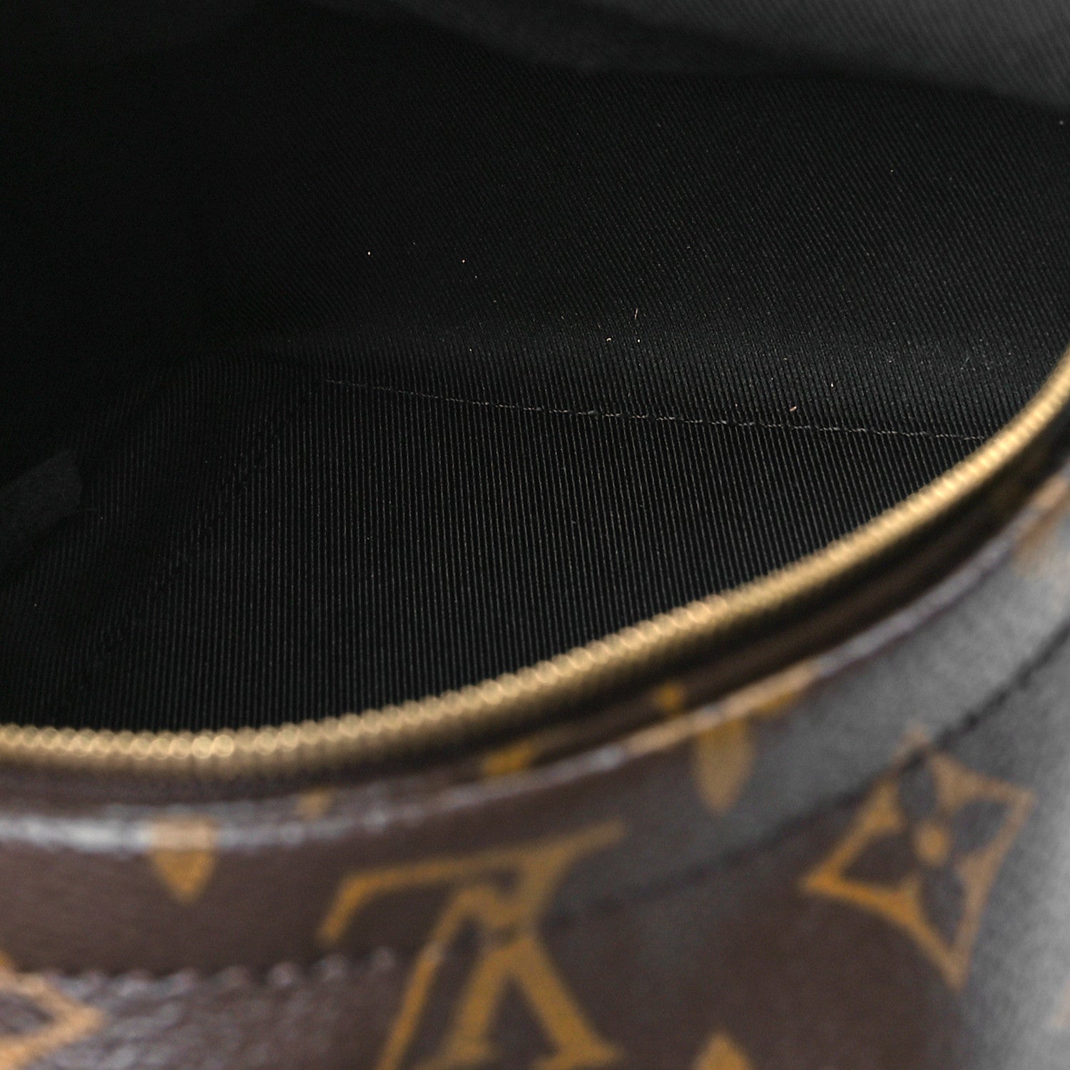 Louis Vuitton Monogram Palm Springs Backpack Mini 5 of 9