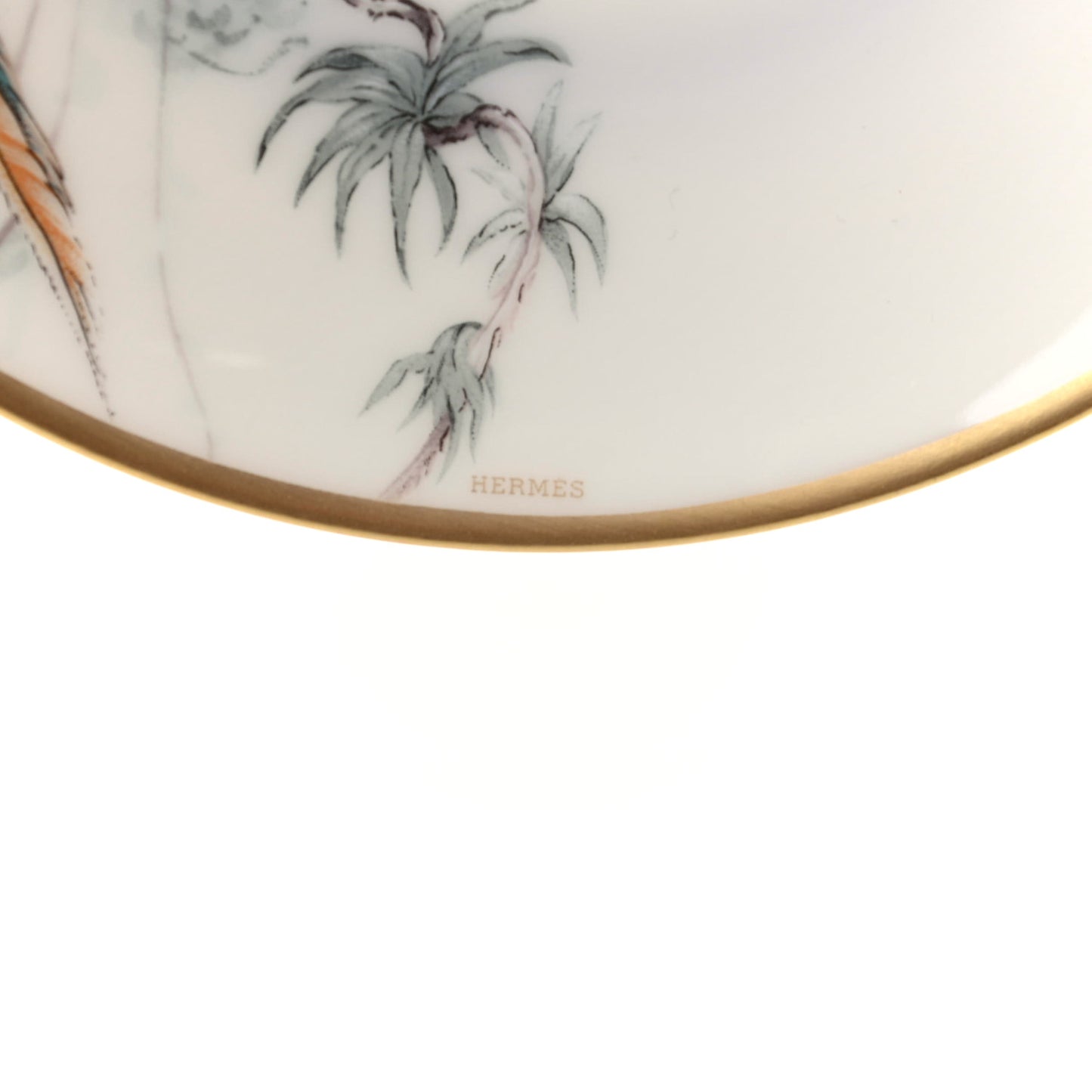 Porcelain Carnets d'Equateur Tea Cup and Saucer Set of 2