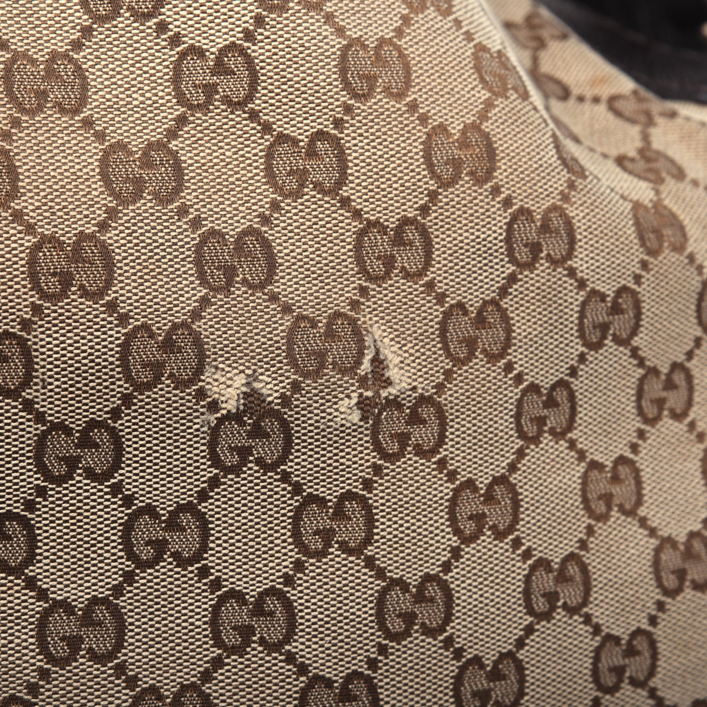 Monogram Charlotte Medium Hobo Brown