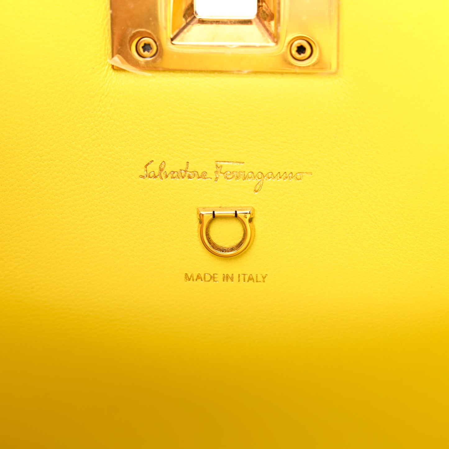 Hammered Calfskin The Studio Box Bag Yellow