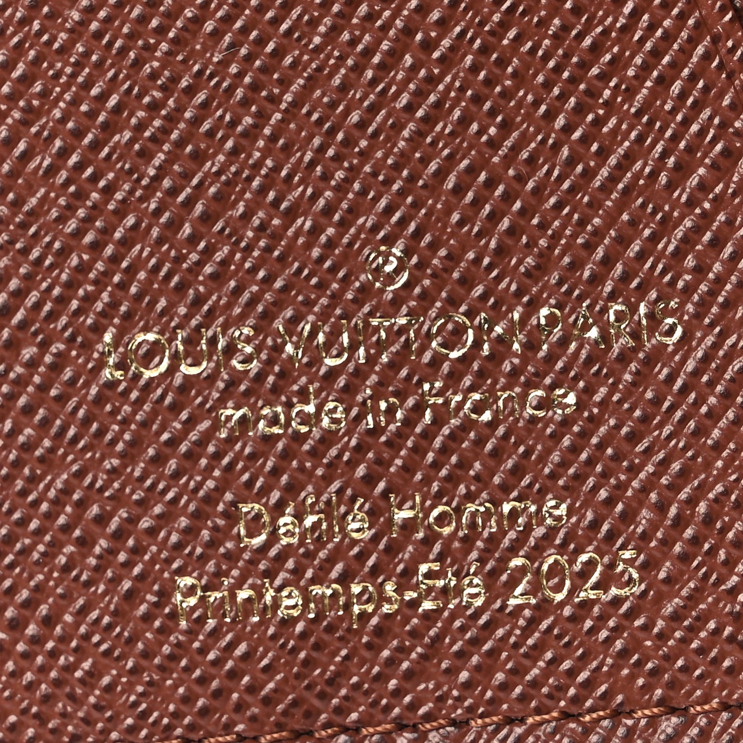 LV Vers Damier Ebene Pocket Organizer