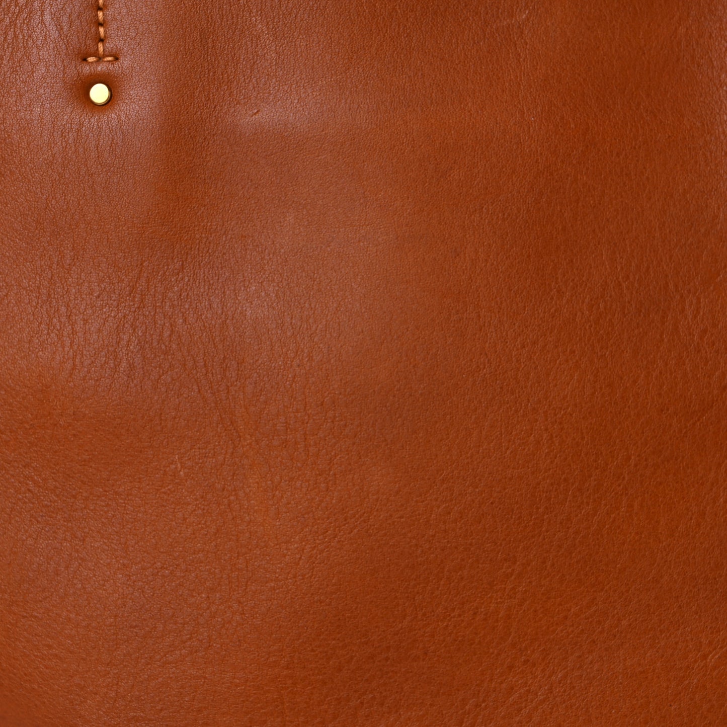 Smooth Calfskin Medium Milo Shopping Tote Caramel