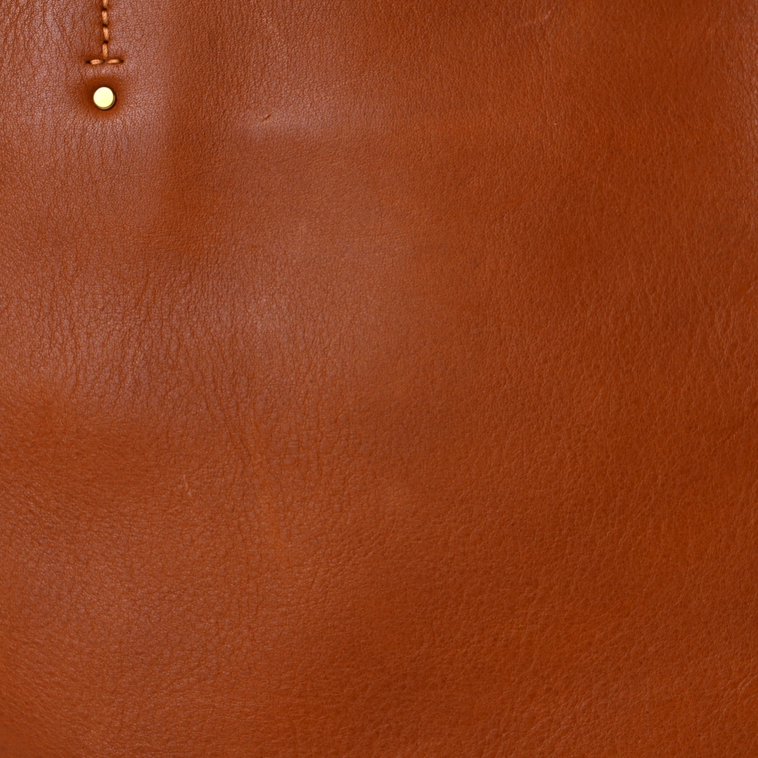Chloe Smooth Calfskin Medium Milo Shopping Tote Caramel 18 of 20