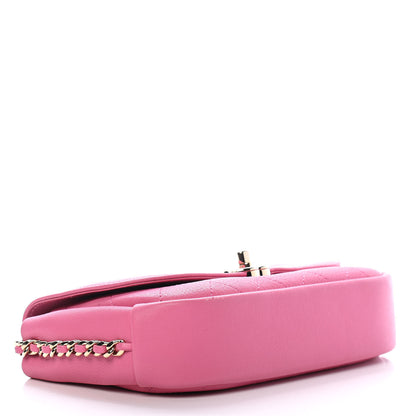 Chanel Goatskin Stitched Casual Trip Single Flap Pink 4 of 10