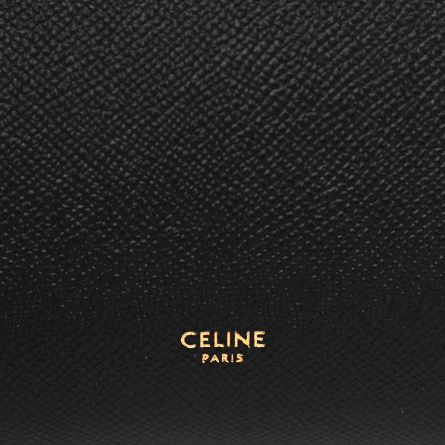 Grained Calfskin Mini Belt Bag Black